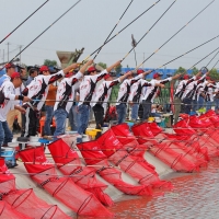 三友“一夜成名“夜釣爭霸賽，賽事成績公告！